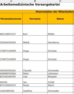 Bild-Vorsorgedatei-EFAS